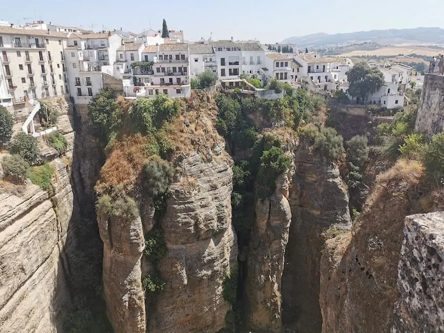 Hakuna Matata Manilva Spain